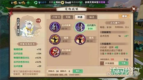 探究盖世大侠如何选择出色战斗宠物：解析合适侠士伴侣，寻找最强大的宠物格斗之皇