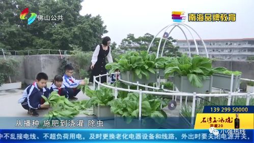 (龙与家园怎么种菜)龙与家园蘑菇人怎么抓不了?这三种方法或许能帮到你 (龙与家园怎么种菜)龙与家园蘑菇人怎么抓不了?这三种方法或许能帮到你